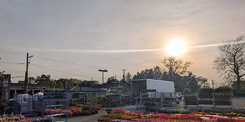 Second Chance Plants WHITE MARSH, MD - Grand Opening Weekend