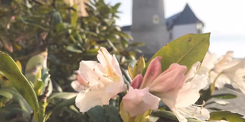 Muttertagskonzert - "Concerto di Sogni"