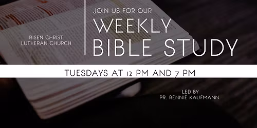 Weekly Bible Study with Pastor Kaufmann