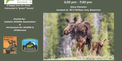 November Green Drinks Bozeman