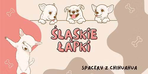 4. Spotkanie \u015al\u0105skich \u0141apek - Spacer z chihuahua