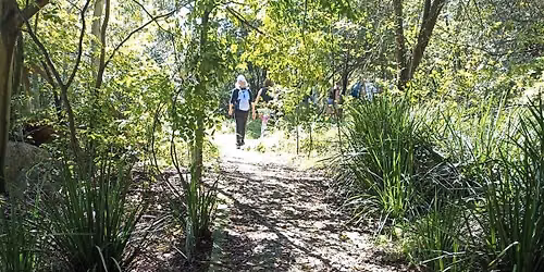 Guided 8km hike through the nature reserve and Melville Koppies East