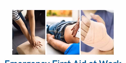 Emergency First Aid at Work (EFAW) course BUDE