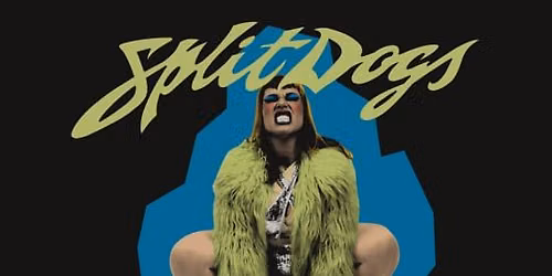 SPLIT DOGS en Sala Nazca, Madrid 2026