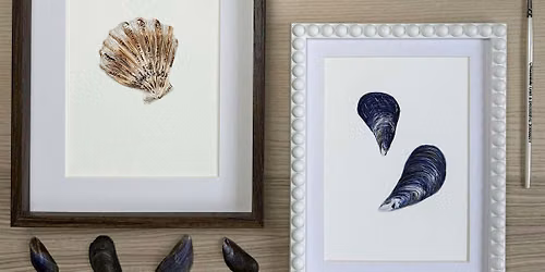 Shell Painting Watercolour Art  Workshop
