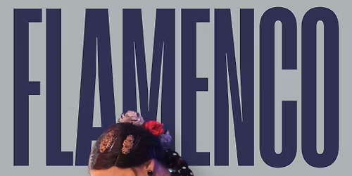 Flamenco ve\u010der ve Zl\u00edn\u011b (ESP, SVK, CZK, IT)