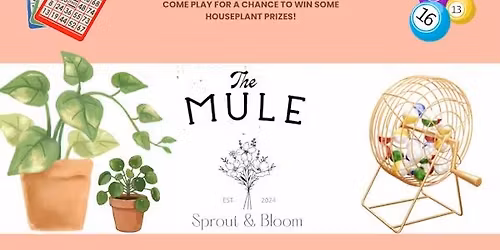 Plant Bingo with Sprout & Bloom
