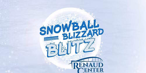 Snowball Blizzard Blitz