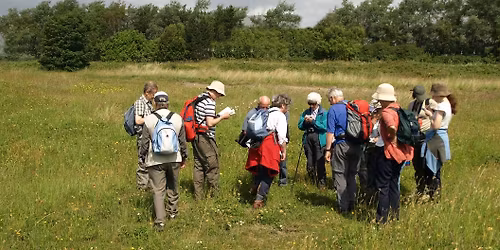 Monks Wood - Walk and meet the volunteers