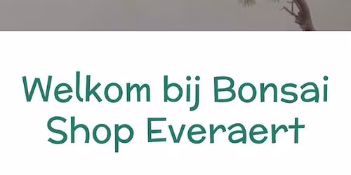 3de Bonsai markt 