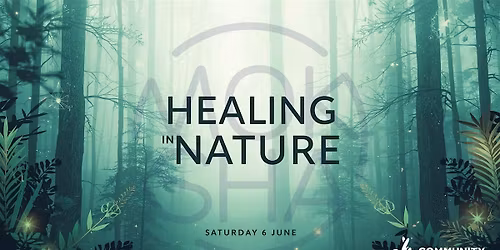 Healing in Nature: Herb Walk, Forest Bathing & Community Tea Experience