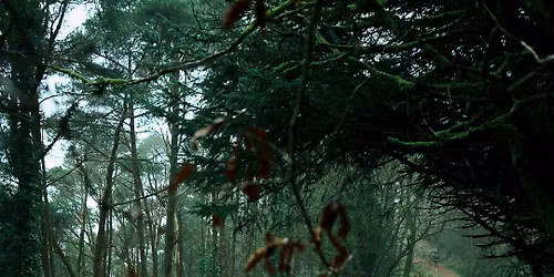 RTT Afan Forest 10K & 5K