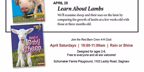 Story Time: Meet a Baby Lamb!