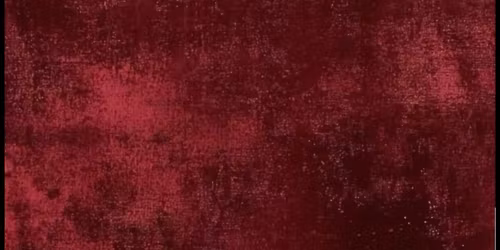 The Holiday Collective 