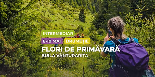 Drume\u021bie intermediar: Flori de prim\u0103var\u0103 \u00een Buila V\u00e2nturari\u021ba
