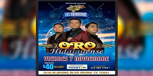 ORO HIDALGUENSE