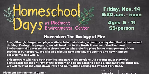 Elementary Homeschool Days: The Ecology of Fire