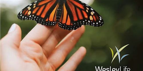 WesleyLife Hospice Butterfly Memorial Release