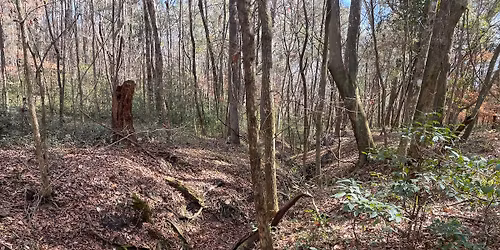 Orienteering Live Event: San Felasco Hammock Preserve State Park near Alachua