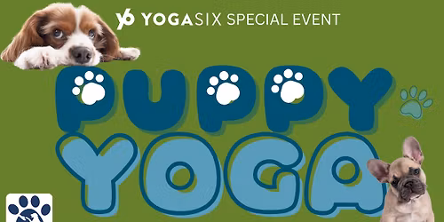 Puppy Yoga! \ud83d\udc36