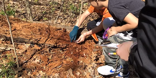 Kid's Garden Club