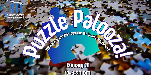 Puzzle-Palooza!