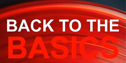 Back to the Basics: Vinyl Only