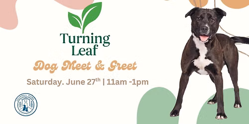 Dog Meet & Greet at Turning Leaf