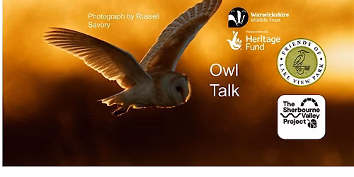 Owl Talk