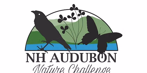 Guided Tour at Bellamy River Wildlife Sanctuary: NH Audubon Nature Challenge