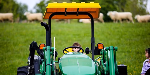 Waikato Annual A&P Show