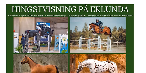 Eklundas Hingstvisning