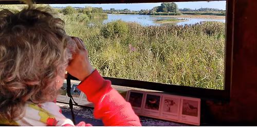 Castle Water Bird Walk at Rye Harbour Nature Reserve