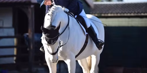 Selston E.C\u2019s Winter Series - Valentine Dressage