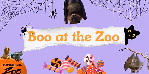 Boo at the Zoo!