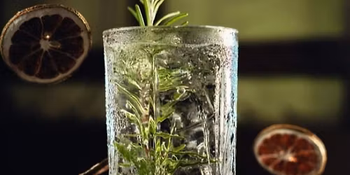 Drinking History: Juniper & Gin