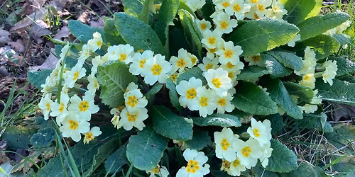 WEG Meeting - all welcome