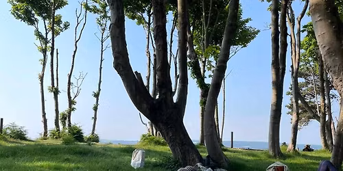 Yoga and meditation experience