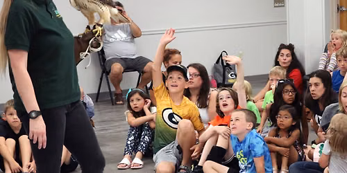 Live Raptors: Winged Wonders of Wisconsin at the FDL Public Library
