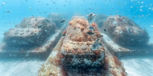 Art Talk: Ximena Caminos, Founder of REEFLINE Underwater Sculpture Park and Hybrid Reef, Miami Beach
