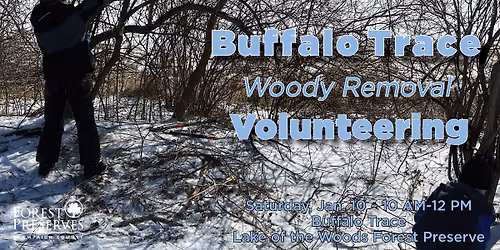 Buffalo Trace Woody Removal Volunteering