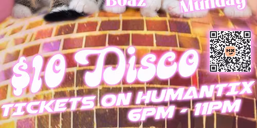 DISCO CATS 2