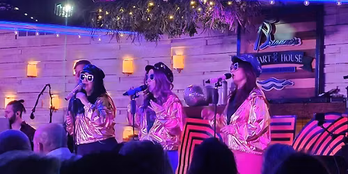 The V Gees Return to Brianno's for Another Night of Nostalgia and Dancing. It's a Disco Party!!!!