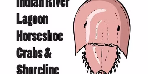Indian River Lagoon Horseshoe Crabs & Shoreline Nesting - Pelican Island Audubon Society