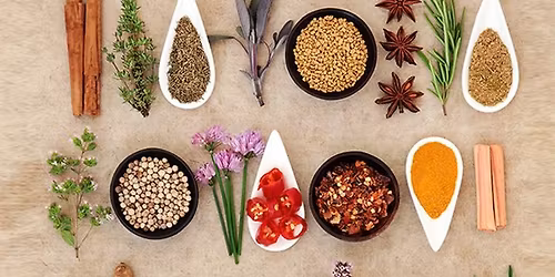 Spice Rack Herbalism