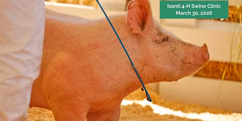 Isanti 4-H Swine Clinic