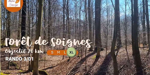 \ud83e\udd7e Rando: For\u00eat de Soignes 21km