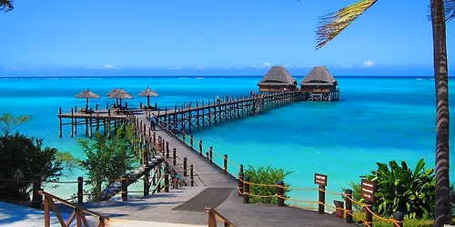 Festive Season Safaris (Dec 2025)