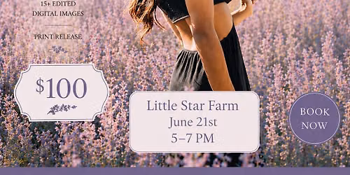Lavender Haze Mini Sessions 