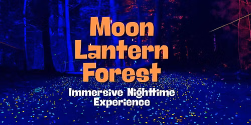 Moon Lantern Forest - Illuminated Trail Experience